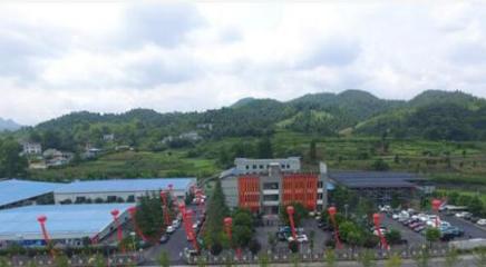 中國(guó)魚(yú)子醬第一股清江鱘龍漁業(yè)